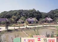 炵`